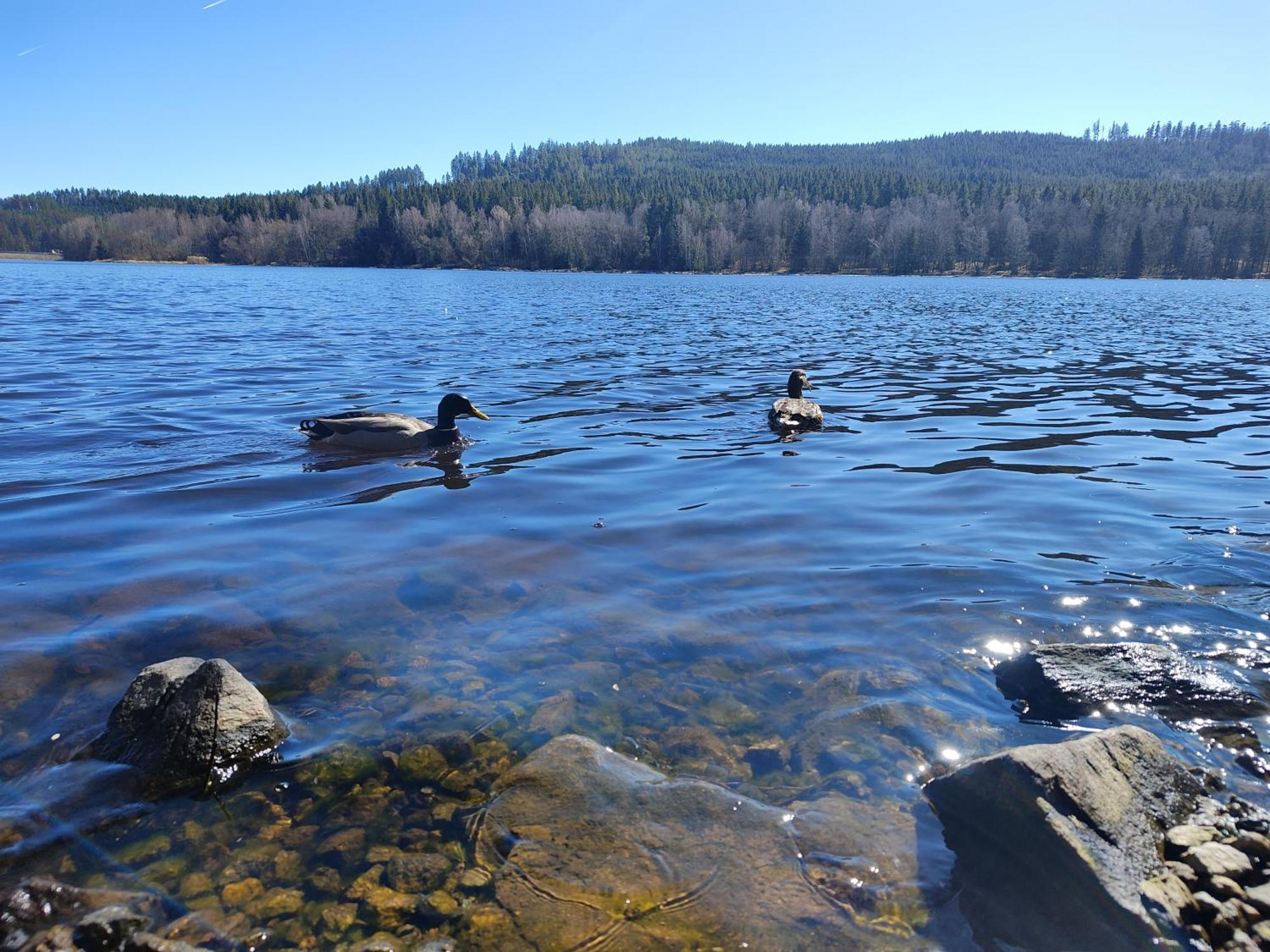 Apartmán Lipno Pearl 4 Lipno nad Vltavou Exteriér fotografie